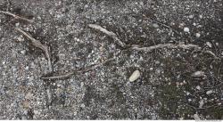 Photo of Various Textures